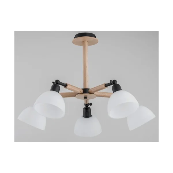 Люстра Alfa 25185 BUSHWICK