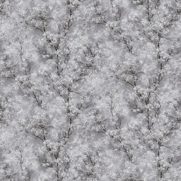 Шпалери AS Creation New Walls 37542-1 